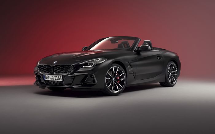 Modelo entrega 382 cavalos de potência (Foto: Divulgação)