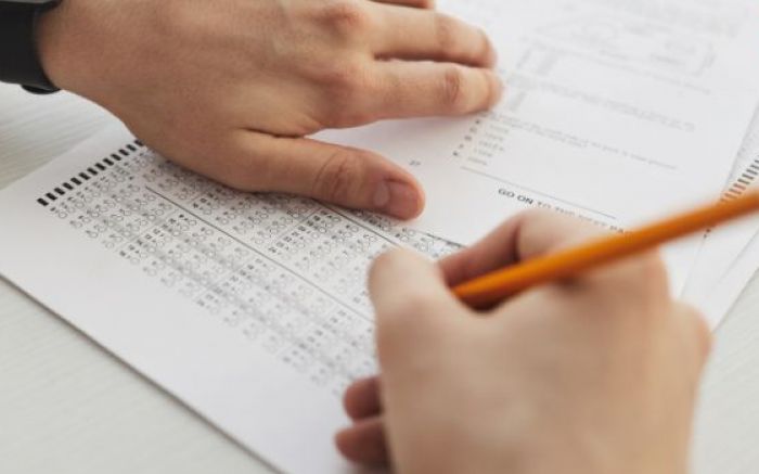 Projeto oferece oito bolsas para profissionais de diferentes áreas (Foto: Divulgação)