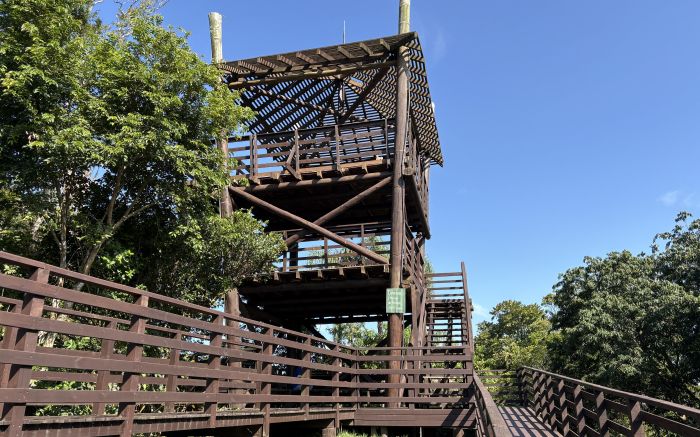 Projeto abre portas para acordos pagos e proíbe nomes políticos ou religiosos (Foto: Divulgação/Prefeitura de Itajaí)