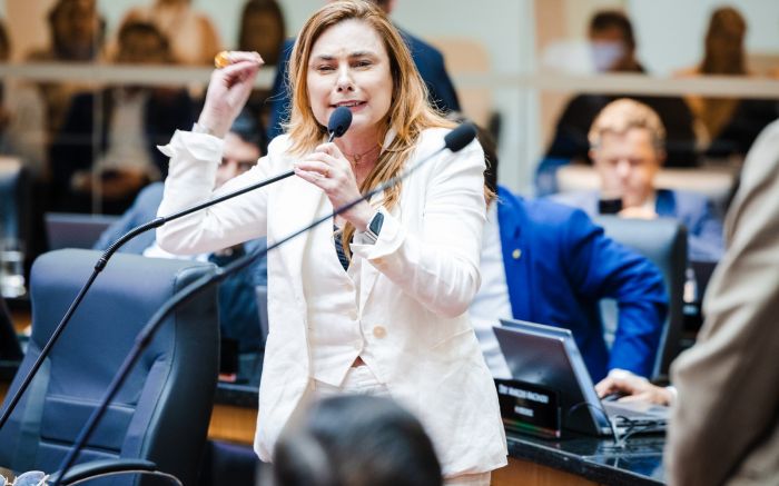 Projeto segue pra sanção do governador Jorginho (Foto: Arquivo/João Batista)