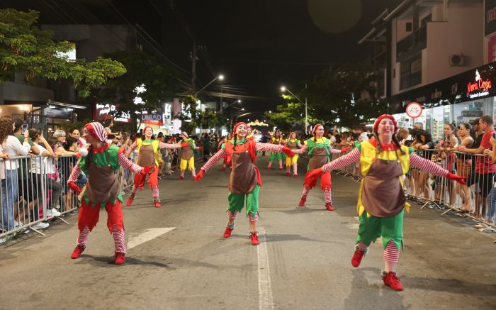 Comerciantes acharam a decoração fraca e que desfile atrapalhou (foto:Divulgação PMI)
