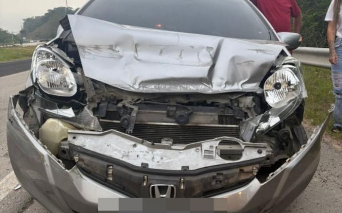 Motorista bateu contra defensa metálica ao sair da pista (Foto: Divulgação PMSC)