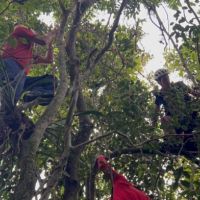 Parapente cai no Atalaia após rajada de vento