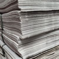 Tá rolando promoção de jornais pra pets