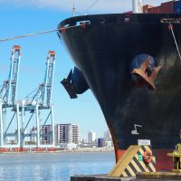 Nem tarifaço segura SC, que bate recorde de exportações em 2025