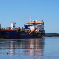 Edital para dragagem do canal do rio Itajaí-Açu deve ser lançado essa semana, diz porto