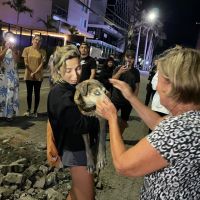 Cachorro cego é resgatado do fundo galeria de água em Itajaí