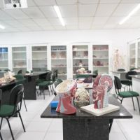 miniatura galeria