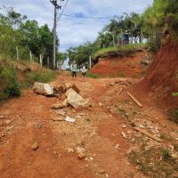 Acidente com Marrom matou dois outros cachorrinhos