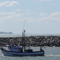 Pescadores artesanais anunciam greve e prometem parar o porto de Itajaí