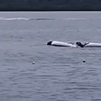 Jornalista salva quatro banhistas de afogamento em lagoa