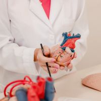 Curso de medicina da Univali fica entre os três melhores de SC, à frente da UFSC