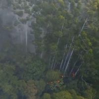 Área de plantação de eucaliptos pega fogo e ameaça casas