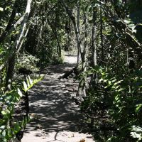 Homem com calças arriadas é encontrado morto em mata