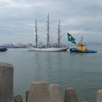 Cisne Branco chega a Itajaí; visitação será no domingo