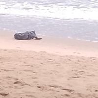 Corpo de Wendel Oliveira é encontrado na Praia de Cabeçudas