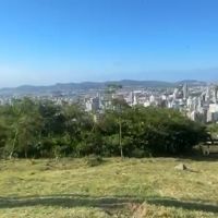 Corte de árvores no Morro da Cruz