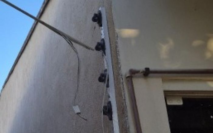 Geral acontece após caso de cão que morreu eletrocutado em jardim