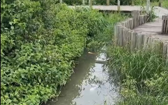 Prefeitura diz que reforçou fiscalização contra ligações irregulares de esgoto (Foto: Reprodução)