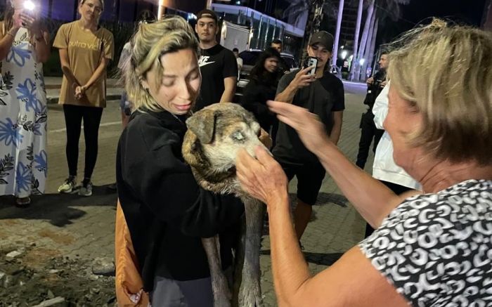 Cego e debilitado, Marrom foi resgatado com vida após horas preso em uma galeria pluvial, na Praia Brava, em Itajaí (Foto: Divulgação)