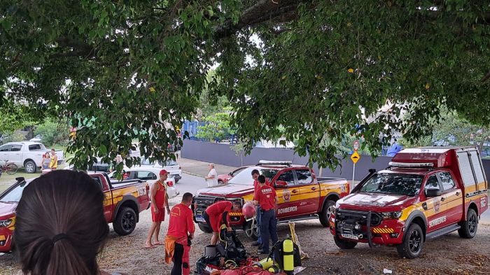 Populares se concentram na ponte Tancredo Neves e nas margens do rio Itajaí-Mirim durante buscas por homem que teria se jogado na água (Foto: Divulgação)