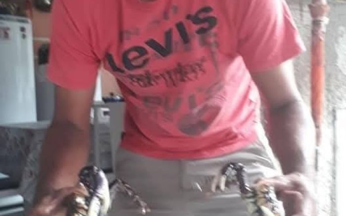 Câmeras mostraram os criminosos cercando escola Rosalvo Fernandes (Foto: Arquivo)