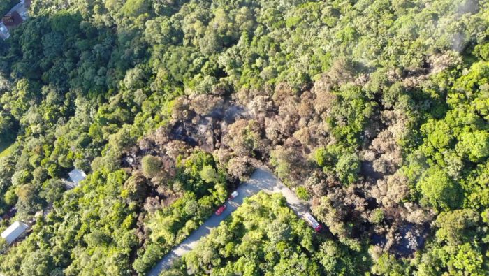 Incêndio foi em encosta com acesso difícil (Foto: CBMSC)