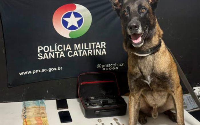 Bando monitorava a chegada da polícia com olheiros e um drone foi preso com apoio de um cão farejador da Polícia Militar (Foto: Divulgação BPMI)