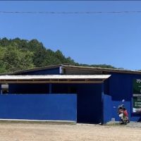 Uapa tem novo telefone para atendimentos da causa animal