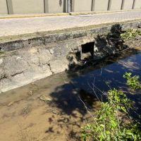 Associação denuncia esgoto que chega à praia de Cabeçudas