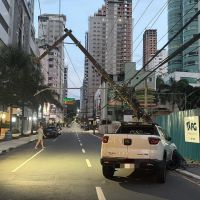 Toro se perde e bate com tudo contra poste no centro de BC