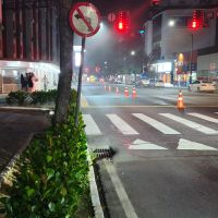 Agência bancária pega fogo na madrugada em Balneário Camboriú