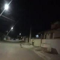 Onça é flagrada correndo no Brilhante