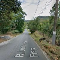 Abandono de animais no Morro do Boi vira um abaixo-assinado