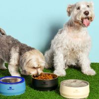 Stanley lança comedouro térmico e abre pré-venda no Brasil