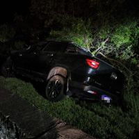 Toro sai da pista, quebra mureta e para no meio do mato na entrada do Pinho