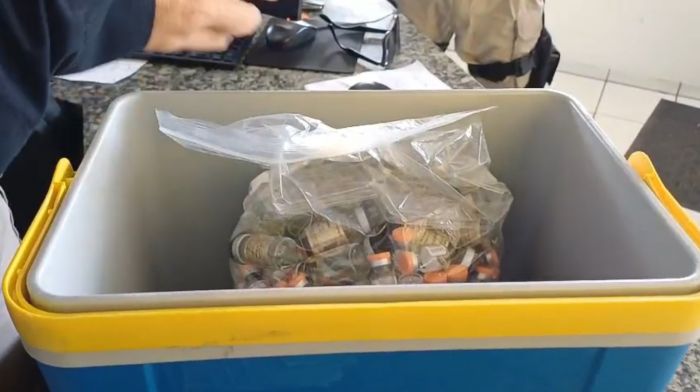 Carga de anabolizantes e remédios para emagrecimento foi interceptada na BR 101 pela PRF (Foto: Divulgação/PRF)