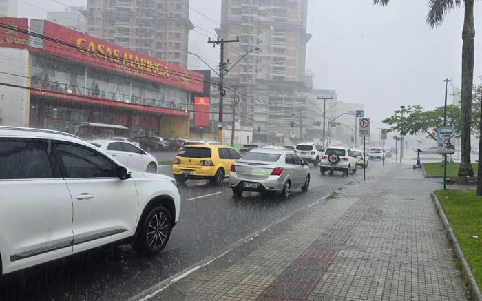 Risco inclui alagamentos, queda de árvores e falta de luz (Foto: Camila Diel)