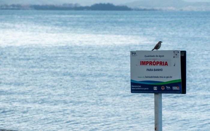 Legenda: Para o governo do Estado, monitoramentos da balneabilidade permitem orientar os banhistas (Fotos: Ima/Divulgação)
