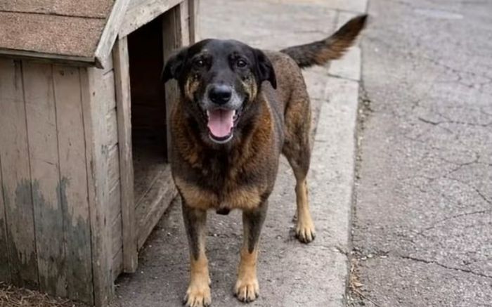 Pedido vem após entrega do inquérito policial e análise dos boletins de ocorrência (Foto: Arquivo/Divulgação)