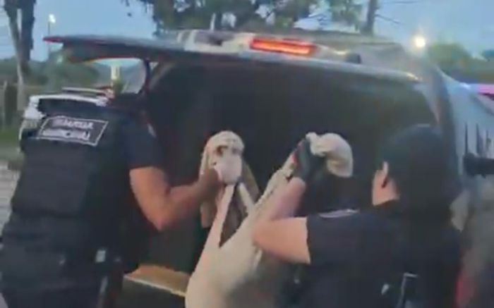 Guarda Ambiental e PM atenderam caso da morte de mais um dog vítima da selvageria