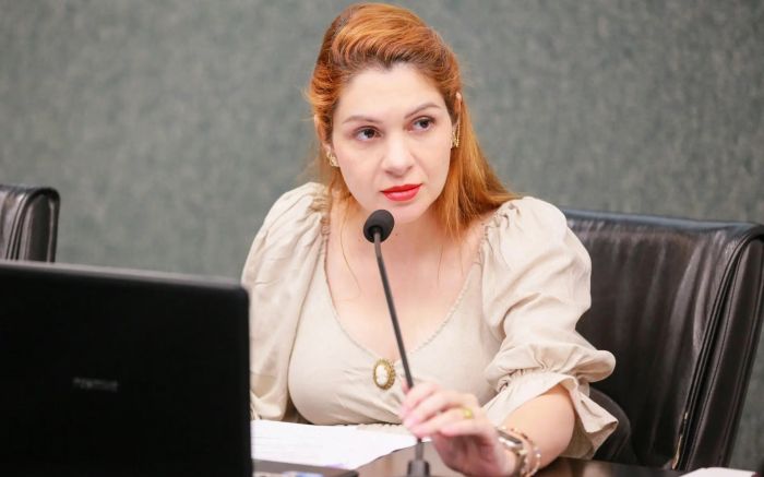 Ana Campagnolo, do PL, teve acesso aos áudios das gravações em 2023 / Arquivo / Alesc.