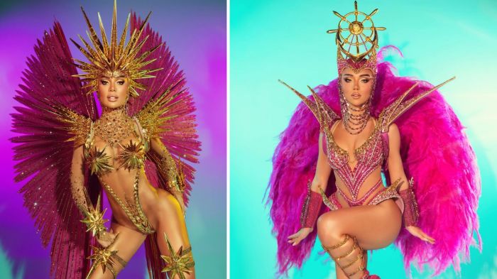 As duas fantasias do desfile estão orçadas em mais de R$ 1 milhão (Foto: Reprodução/Redes sociais)