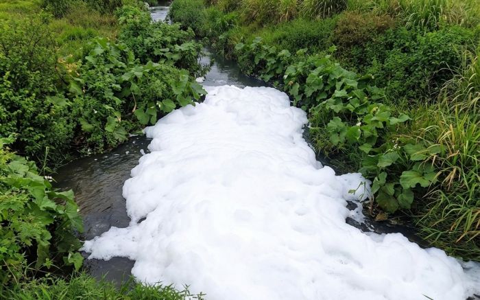 Ribeirão fica na rua Victor Zimmermann, perto da escola Professora Francisca Borba (Fotos: Divulgação)