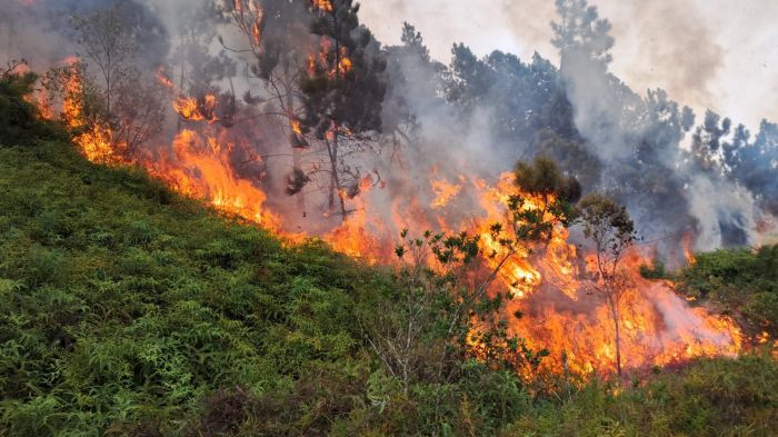 Mais de sete mil litros de água foram usados (Foto: Divulgação/CBMSC)