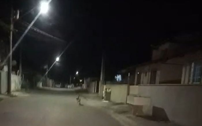 Moradora alega ter visto uma onça correndo pelas ruas do bairro (Foto: Reprodução)