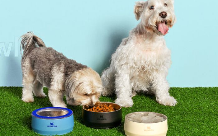 Produto está disponível em dois tamanhos, com preços a partir de R$ 319