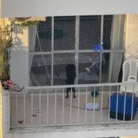 Moradores denunciam cachorro trancado em sacada de prédio