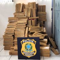 PRF intercepta 657 kg de maconha na BR 101