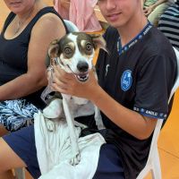 Castra Pet faz 113 castrações em mutirão e abre novas inscrições